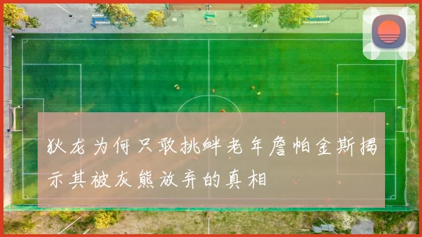 狄龙为何只敢挑衅老年詹帕金斯揭示其被灰熊放弃的真相