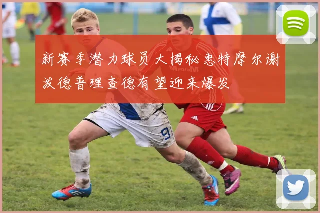 新赛季潜力球员大揭秘惠特摩尔谢泼德普理查德有望迎来爆发