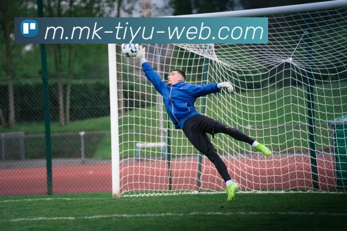 MK体育平台生态图