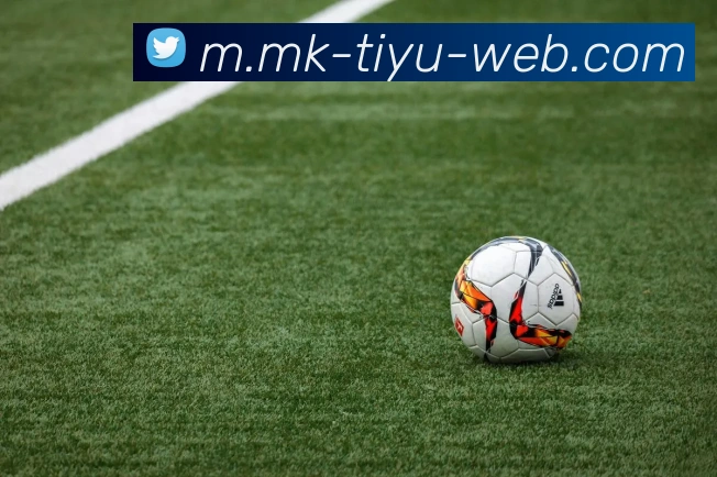 MK体育APP 封面图